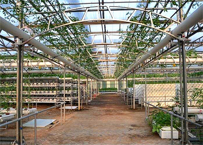 Glass Cover Hydroponic Greenhouse Simple Structure With Large Inner Room