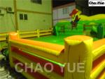 Inflatable Bull Mat (CYSP-604)