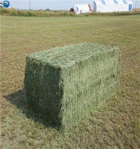 Wholesale Agriculture PP/ PE Packaging Baler Twine from china suppliers