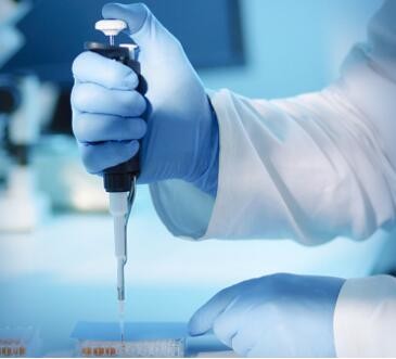 Powder Free Vinyl Exam Gloves