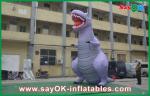 Custom Animal Dinosaur Inflatable Cartoon Characters Model / Figure / For