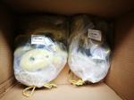 Experience the Speed of Geckoking IFSC Climbing Speed Holds Standard Qty 20sets