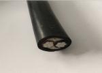 1kv 3kv 2x16mm2 XLPE Insulated Power Cable Fire Resistant Cable In Thailand