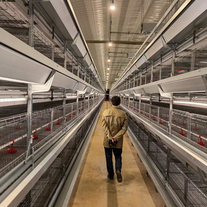 Poultry Farming Battery Layer Chicken Cages H Type