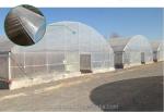 Small Single Span PE Plastic Film Greenhouse For Vegetable Agriculture 10-100m