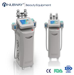 Wholesale Hot cryolipolysis body contouring/cryolipolysis body slimming/cryolipolysis weight from china suppliers