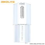 500W 900umol/s 265VAC CMH Grow Light 208-277V With 3000K Bulb