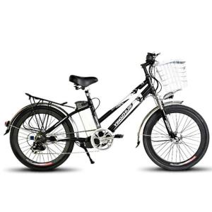 Wholesale 24&quot; Brushless Motor Electric Bicycle with 48V 250W Power and 12AH Battery in Bangladesh from china suppliers