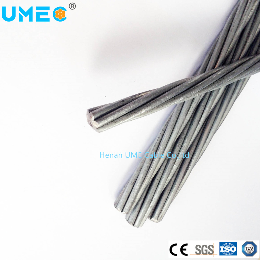 ASTM A475 BS183 Standard Stainless Galvanized Steel Stranded Wire 1X7 1X19 1X37 for Stay Wire