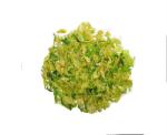 AD Dried Cabbage Flakes 15x15mm New Crop