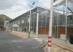 Large Size Agricultural Glass Greenhouse 3m - 6m Side Height Stable Structure