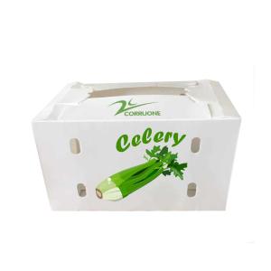 Wholesale Corruone Custom Vegetable Fruit Tomato Packing Corrugated plastic Box from china suppliers