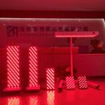 Wholesale Full Body 480nm 630nm 660nm 810nm 830nm 850nm 1060nm LED Red Infrared