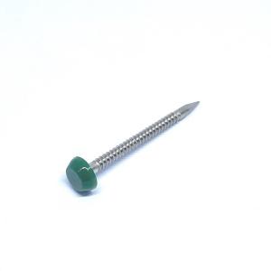 Wholesale Polished SS316 Plastic Round Cap Roofing Nails With Annular Ring Shank from china suppliers