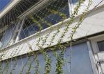 Opening Size 50mm*50mm SS304 Stainless Steel Rope Mesh Green Wall For Garden