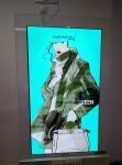Double faces OLED super Thin Shopping Mall Advertising Display Solution