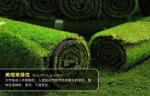 Artificial turf golf greens grass, fake turf