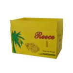 3mm Corflute Corrugated Box For Fruits Grapes Box Packaging