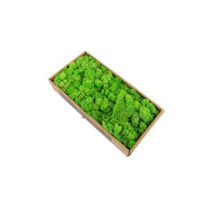 Wholesale All Colors Preserved Natural Moss Balls With Long Preserving Time from china suppliers