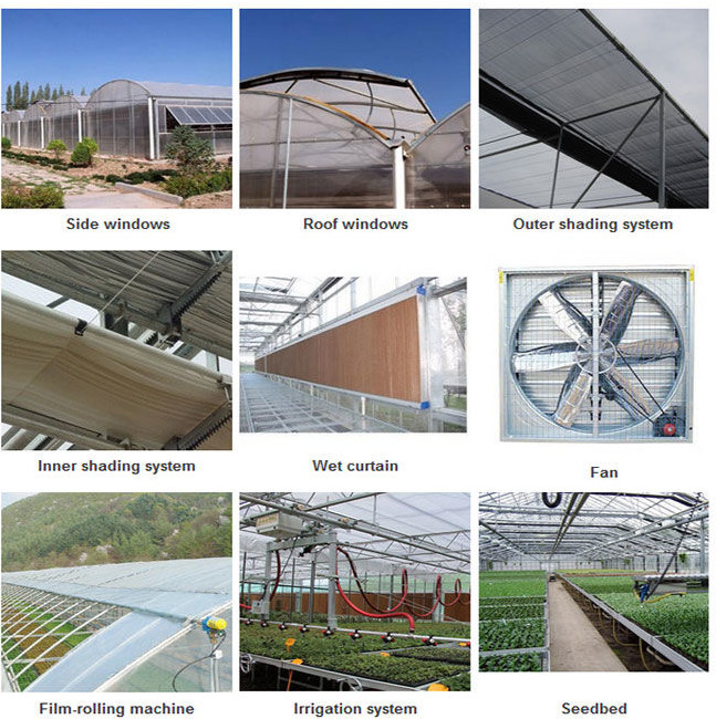 Section 4m Commercial Hydroponic Greenhouse For Lettuce / Cucumber / Tomato