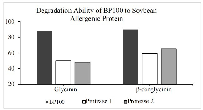 A Specially Designed Feed Grade Protease (BP 100) Protease Enzyme with Excellent Solubility for Industrial Requirements
