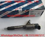 BOSCH Common Rail injector 0445110313 , 0 445 110 313 , 0445 110 313 , 445110313