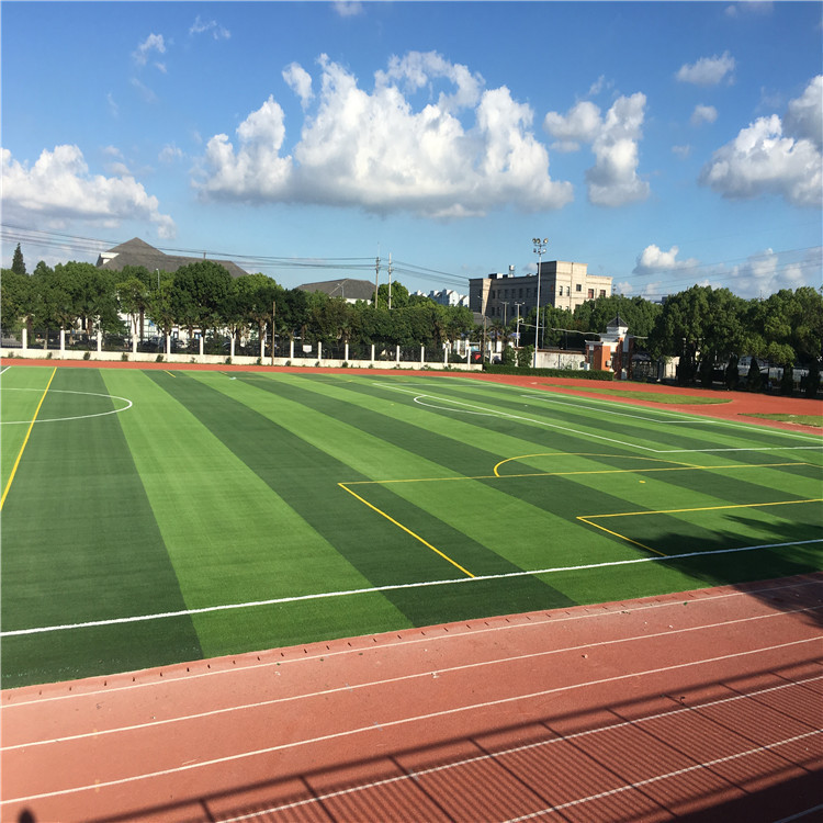 Durable Soccer Football Artificial Grass Turf 50mm PE Monofilament Yarn 170 S/M