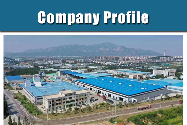 50mm-250mm Height Modern Design HDPE Highway Geocell for Sand Stone Concrete Filling
