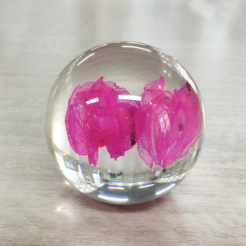 Dried Flower Paperweight Ball 80mm Nature Style Logo Customized