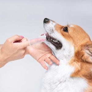 Wholesale Bristle Silicone Dog Cleaning Tool Teeth Cleaning Dog Oral Care Finger Pet Toothbrush from china suppliers