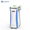 Buy cheap Nubway best professional best selling 2 handpieces Cryo cryolipolysis italy body from wholesalers