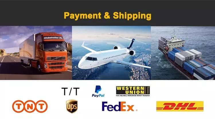 SSD Nvme Pcie4.0 2280 1tb Internal Solid State Drive SSD for Laptop Game Desktop Notebook Gamers M. 2 China SSD SATA HDD Price