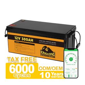Wholesale 12V 24V 48V 51.2V Lifepo4 Battery Pack 100Ah 200Ah 300Ah For Home Backup Power System from china suppliers