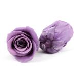 Immortal Diameter 5-6cm Preserved Rose Flower For Mothers Day