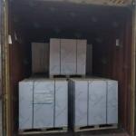 Custom PE Coated Cup Stock Board Paper Food Paper Packaging FDA Grade
