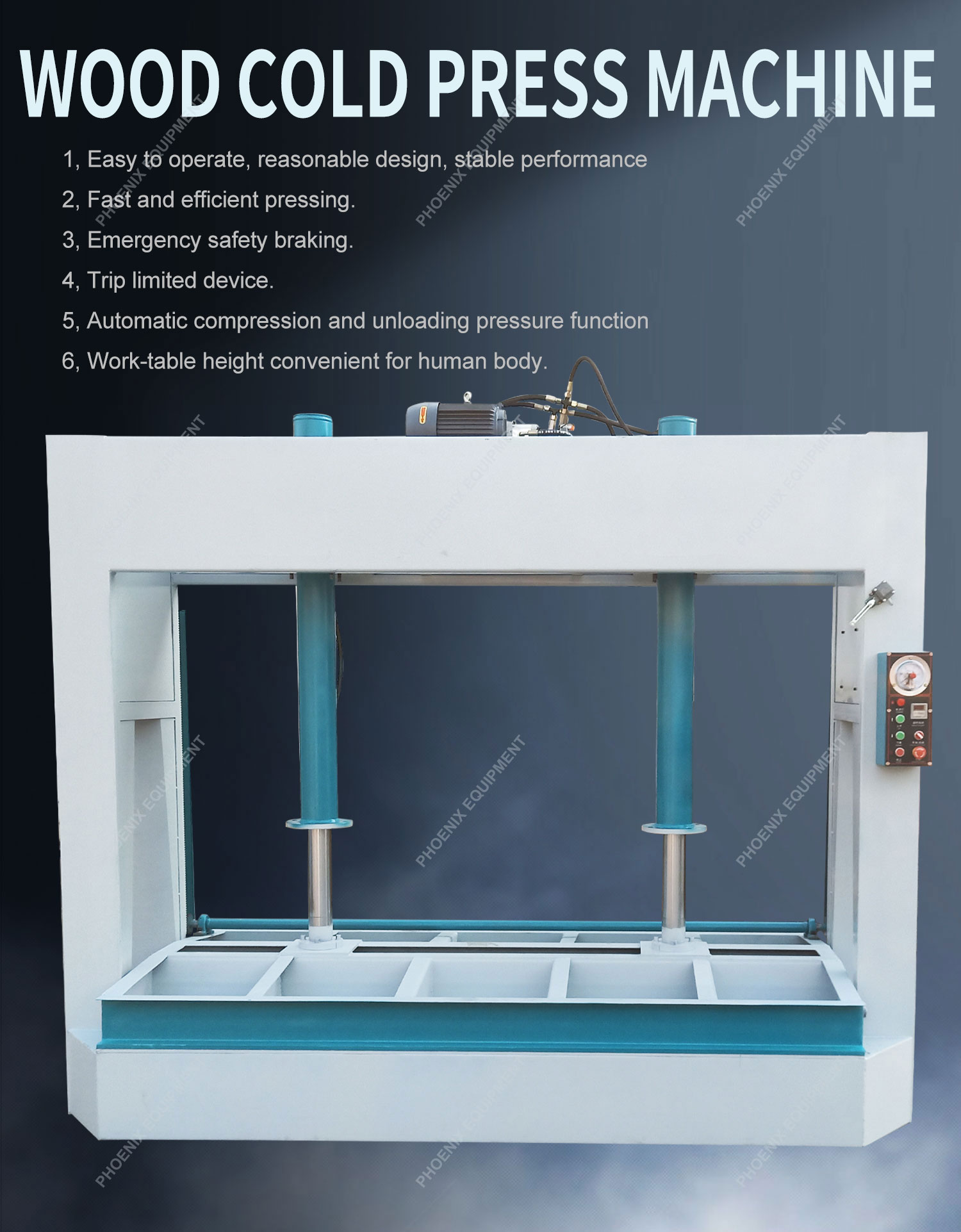 2950X1250X2250mm MJ50A Hydraulic Plywood Board Laminate Furniture Wood Door Flooring Woodworking Cold Press