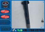 Common Rail Nozzle L347PBD Fuel Nozzle L347PRD For EMBR00001H 28342997 28348371
