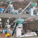 500-600kg/H Wood Pellet Making Machine Sawdust Wood Pellet Plant