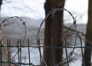 Wholesale Garden Anti-Theft Anti Climb hot dip Galvanized Barbed Wire Roll from china suppliers