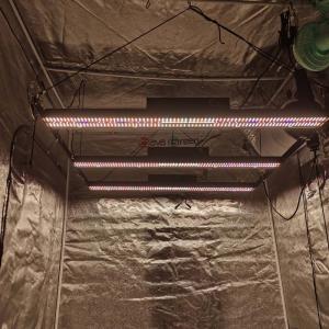 Wholesale BAVAGREEN Samsung LED Grow Light Bar from china suppliers