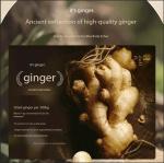 100% Pure Natural Fractionated Coconut Oil Premium Grade Vegan Carrier Oil With