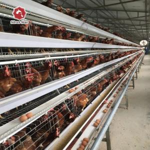 Wholesale 43*41*41 Cm Per Cell Layer Chicken Steel Cage 4 Birds Per Cell from china suppliers