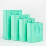 Jewellery Printed Paper Carrier Bags 200gsm Paper Gift Bag With Handles