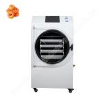 White And Black Freeze Dryer For Sale 8kg Food Drying Machine 20kg