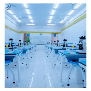 Wholesale Classic Student Lab Room Furniture For Modern School Laboratories from china suppliers