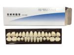 Material Dental Acrylic Resin Teeth Tooth Colored Acrylic Resin Teeth For
