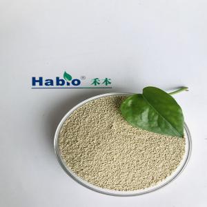 Wholesale Reliable Lipase Enzyme Powder Feed Additive Lipase Powder 50,000 U/G-300,000U/G from china suppliers