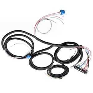 Wholesale Plastic Electric Vehicle Wire Harness Assembly OEM Voltage 24V from china suppliers