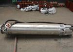 1200m3/H Capacity Sea Water Submersible Pump 18m Head For Seafood Factory