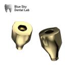 Healing Capsule Device Blue Sky Implant Scan Body Transfer Coping